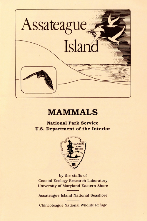 brochure cover