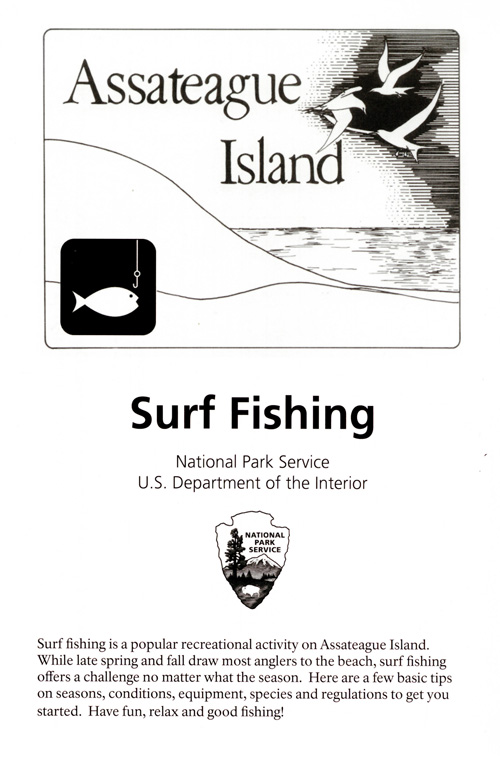 brochure cover