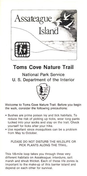 brochure cover