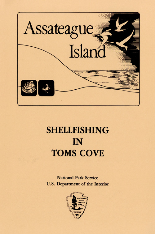 brochure cover