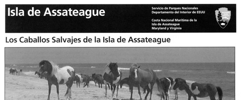 brochure cover
