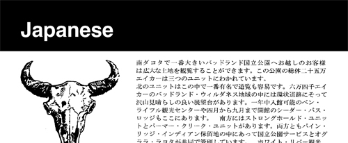 brochure cover