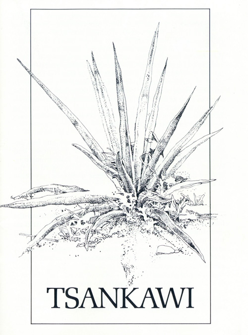 brochure cover