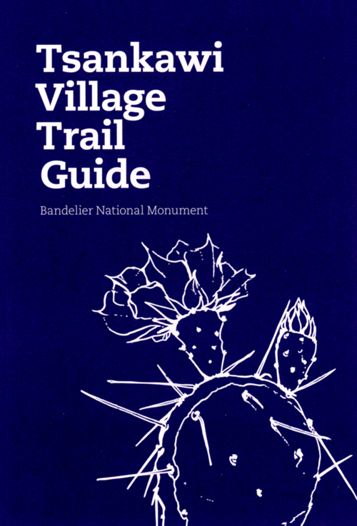 brochure cover