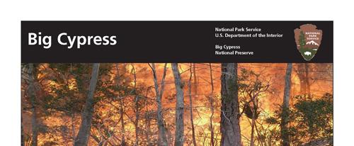 brochure cover
