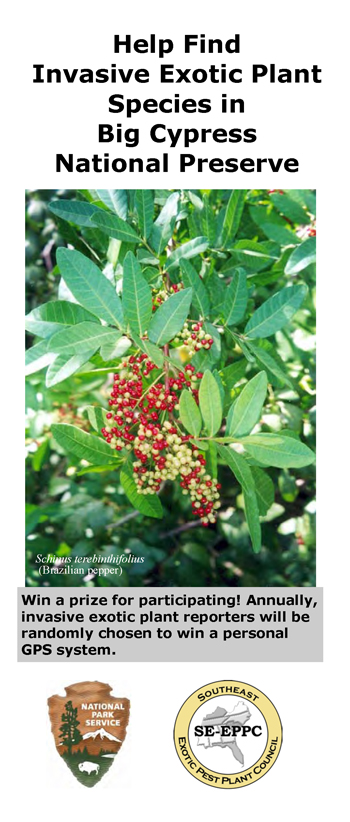 brochure cover