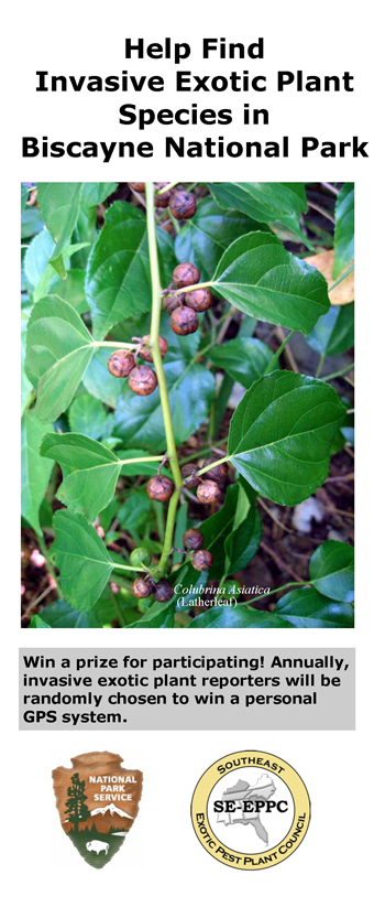 brochure cover