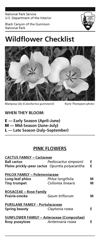 brochure cover