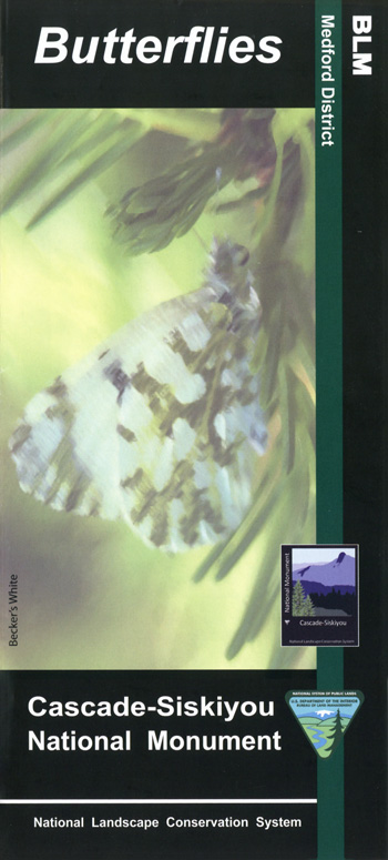 brochure cover