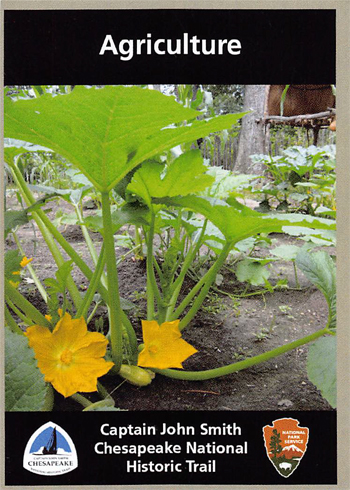 card cover