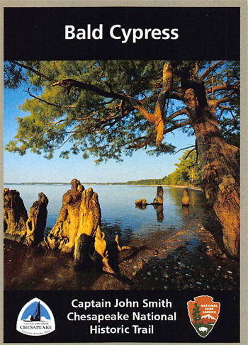 card cover