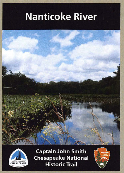 card cover