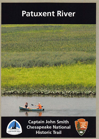 card cover