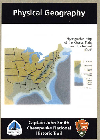 card cover