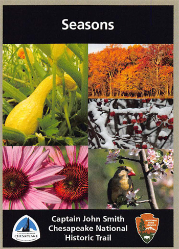 card cover