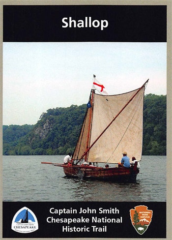 card cover