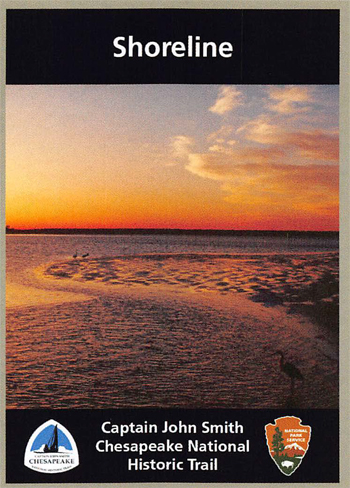 card cover