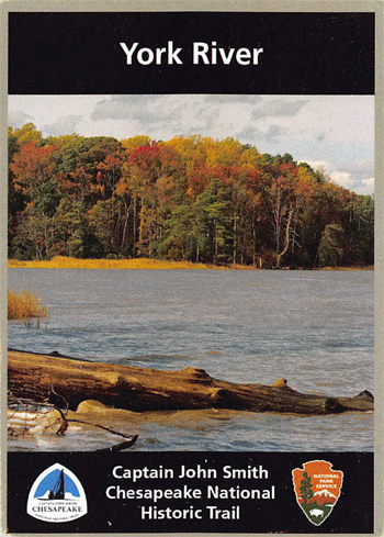 card cover