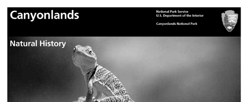 brochure cover