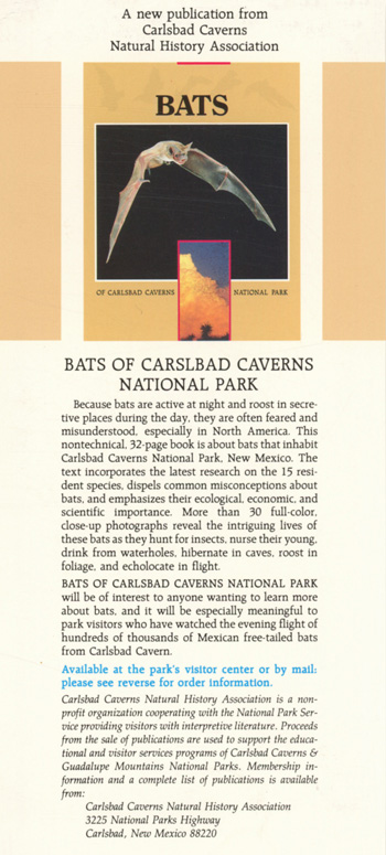 brochure cover