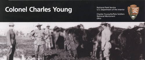 brochure cover
