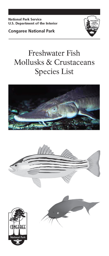brochure cover