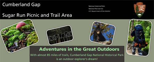 brochure cover