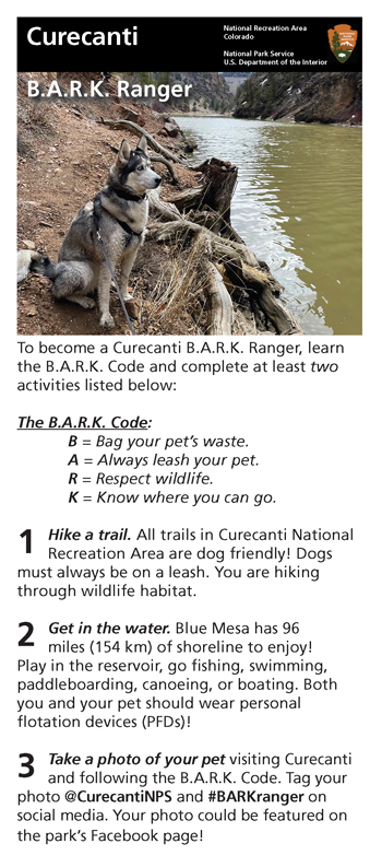 brochure cover