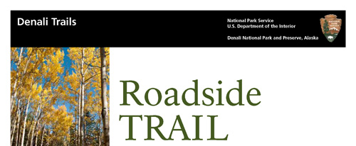 brochure cover
