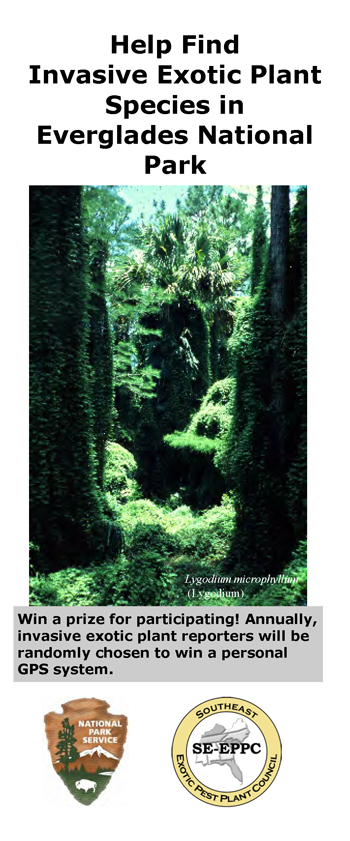 brochure cover