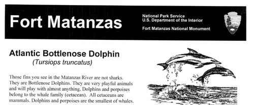 brochure cover
