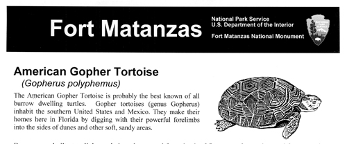 brochure cover