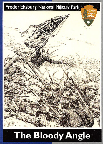 card cover