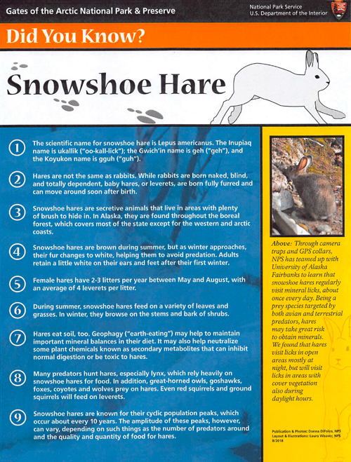 brochure cover