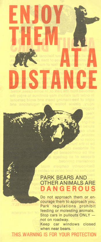 brochure cover