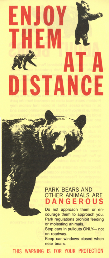 brochure cover