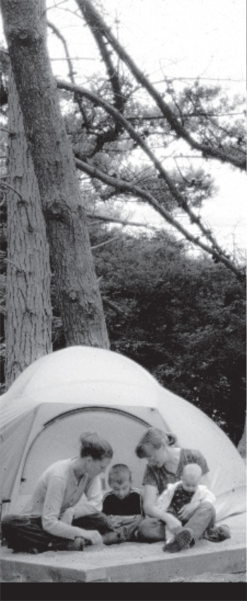 brochure cover