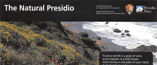 brochure cover