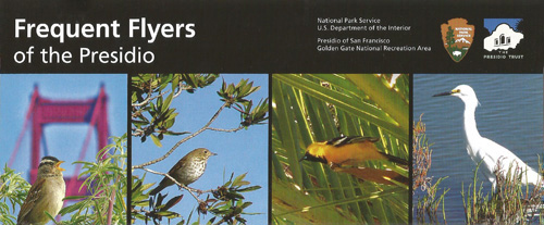 brochure cover