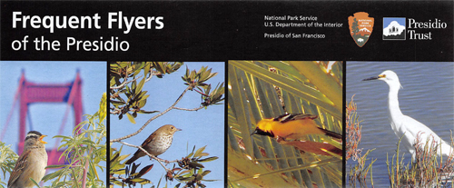 brochure cover