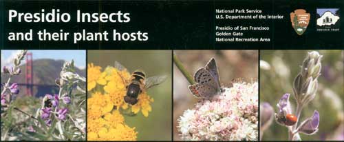 brochure cover