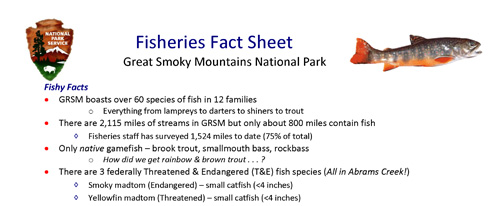 brochure cover