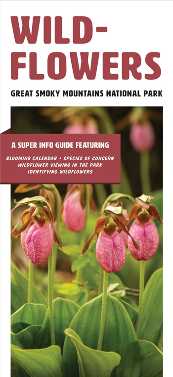 brochure cover