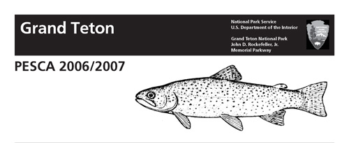 brochure cover