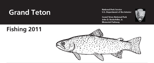 brochure cover