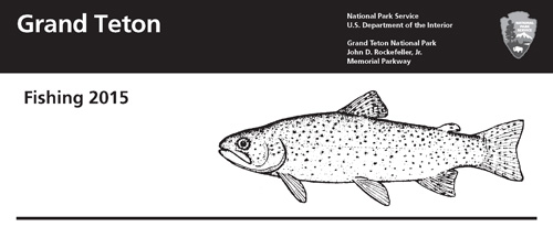 brochure cover