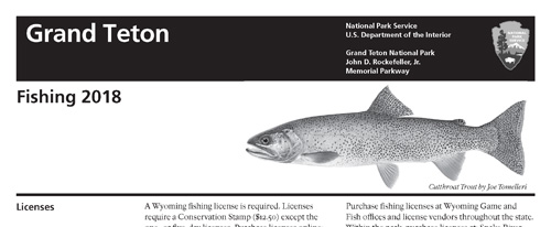 brochure cover