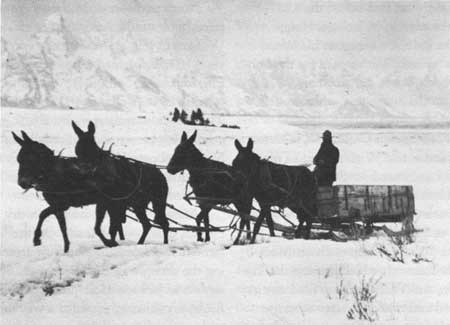 horse team and wagon