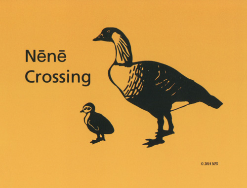 brochure cover