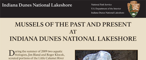 brochure cover